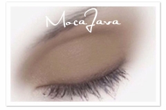 ss moca java