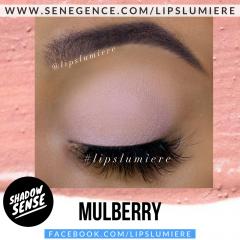 Mulberry-2
