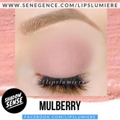 Mulberry