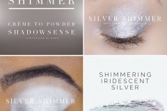 Silver Shimmer SS